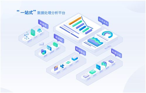 國內(nèi)數(shù)據(jù)可視化與數(shù)據(jù)處理服務(wù)推薦公司